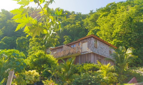 Jungle Bay Dominica